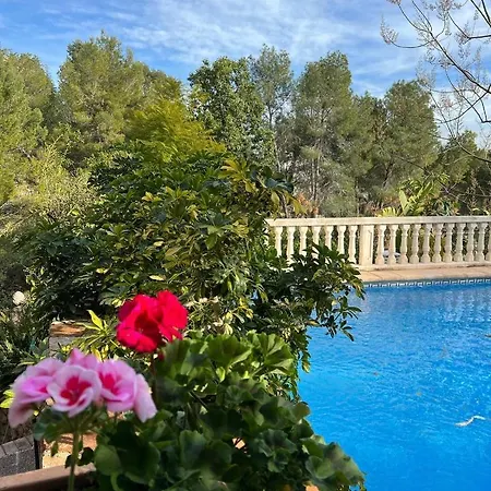 Beautiful 6 Bedroom With Pool * El Real de Gandia